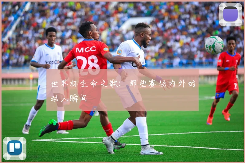 世界杯生命之歌：那些赛场内外的动人瞬间