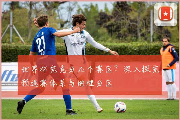 世界杯究竟分几个赛区？深入探究预选赛体系与地理分区