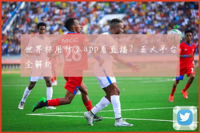 世界杯用什么app看直播？五大平台全解析