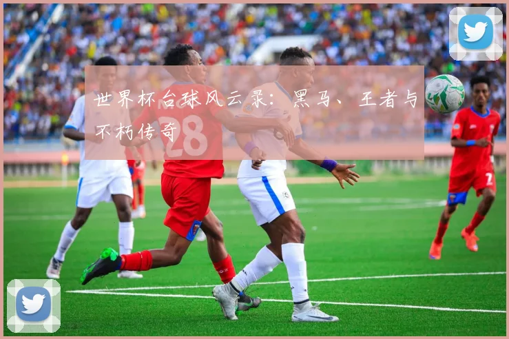 世界杯台球风云录：黑马、王者与不朽传奇