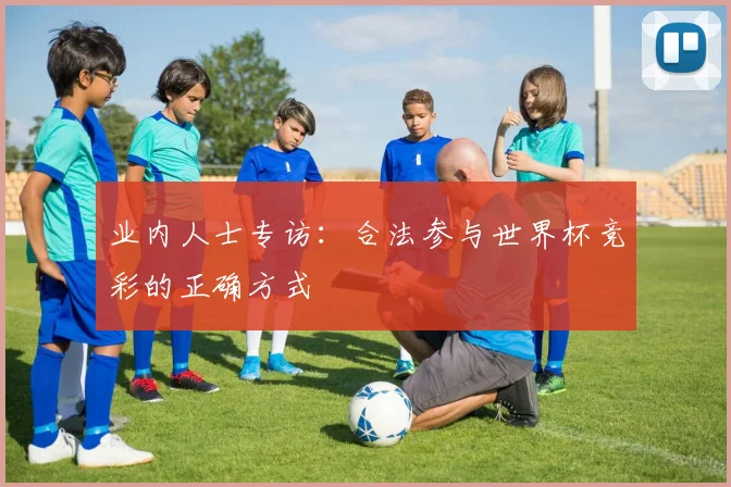 业内人士专访：合法参与世界杯竞彩的正确方式