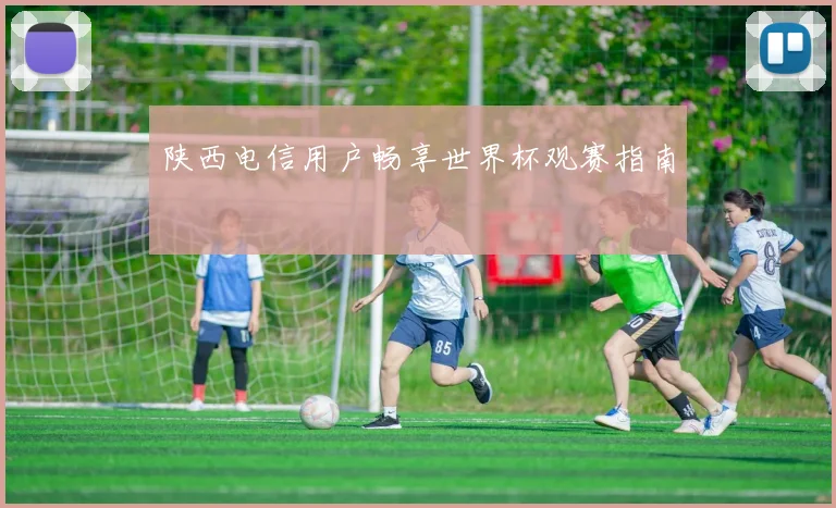 陕西电信用户畅享世界杯观赛指南